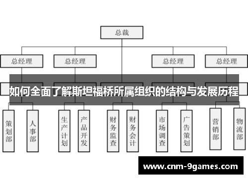 如何全面了解斯坦福桥所属组织的结构与发展历程