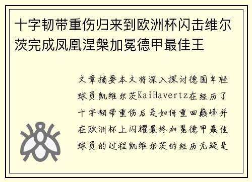 十字韧带重伤归来到欧洲杯闪击维尔茨完成凤凰涅槃加冕德甲最佳王
